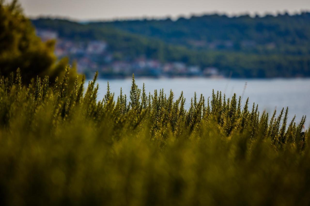 Villa Amarina Trogir Dış mekan fotoğraf