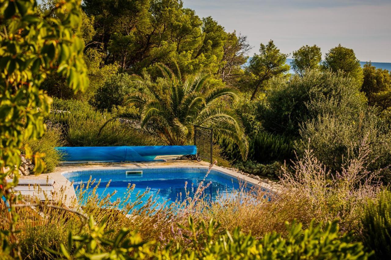 Villa Amarina Trogir Dış mekan fotoğraf